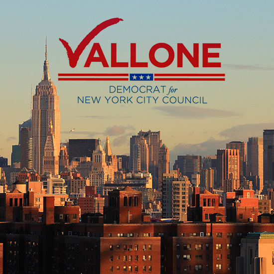 VOTE PAUL VALLONE - POLITICAL CANDIDATE